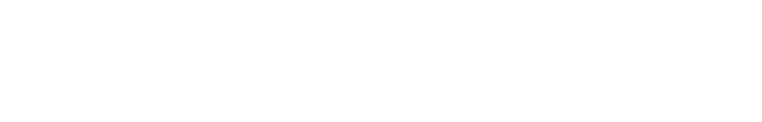 Bundi icon